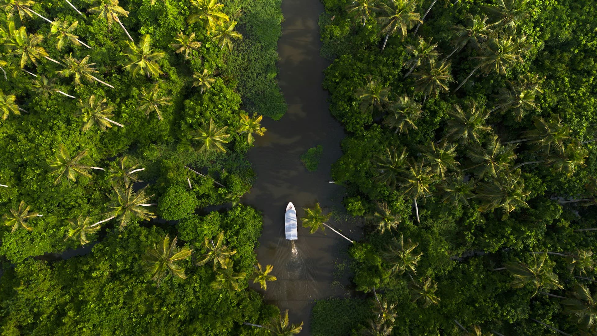 Kerala backwaters aerial view