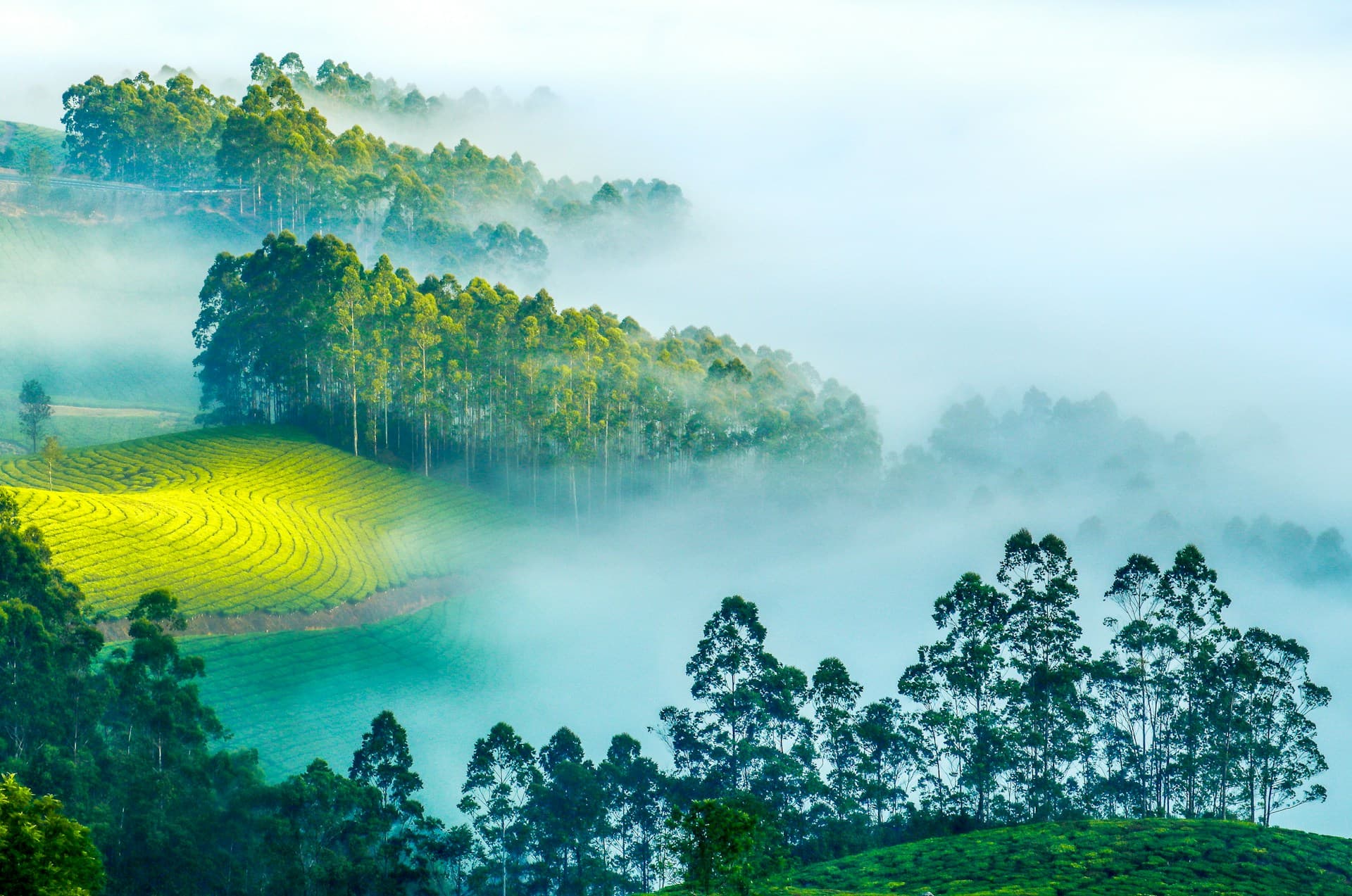 Misty Kerala hills